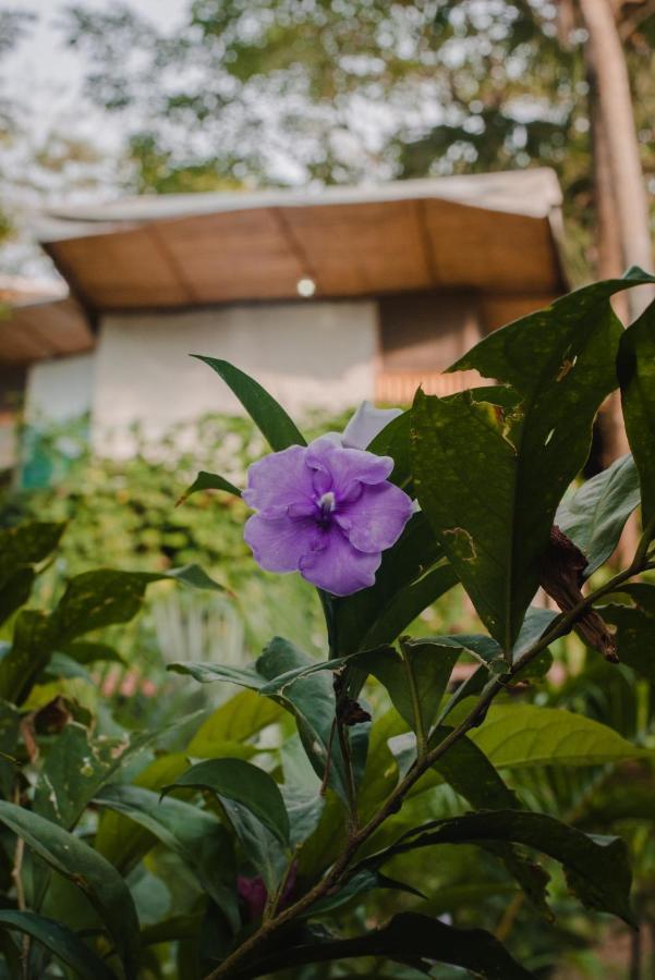 Serrano Tayrona Lodge El Zaino Buitenkant foto